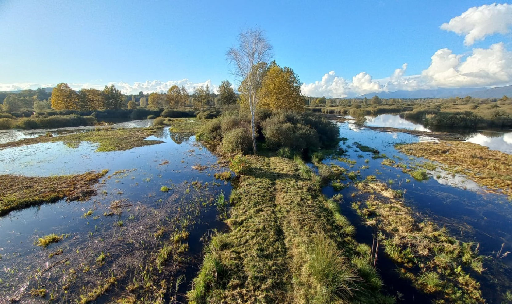 palude brabbia